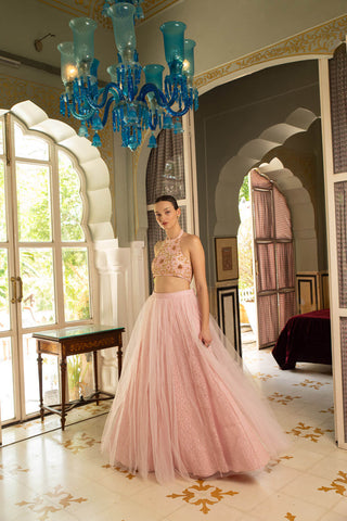 A perfect baby pink fairytail dress for cocktail parties, theme parties, special occasions or wedding bridal photo shoot.