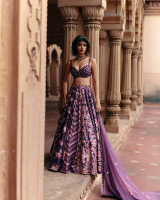 A perfect look for indian traditional parties or wedding ceremony like sangeet or other traditional events