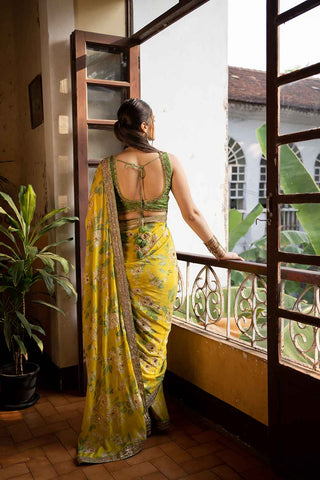 Back look of the blouse and saree