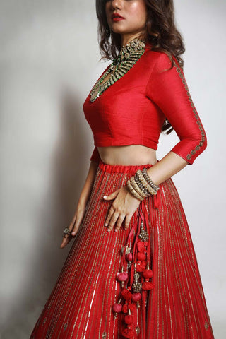 The close up look of the blouse and chakra red lehenga