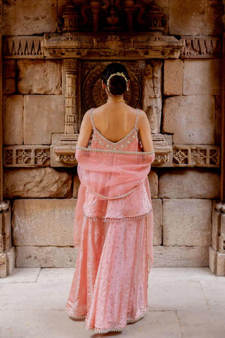 The back look of the Rose pink tissue sharara dress